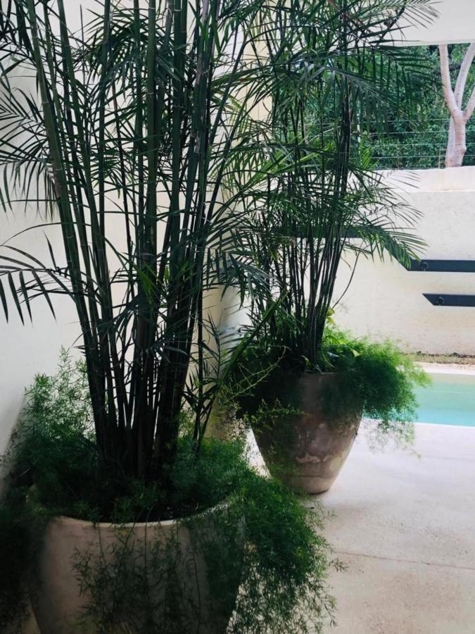 Appartement Casa Leo à Tulum Extérieur photo